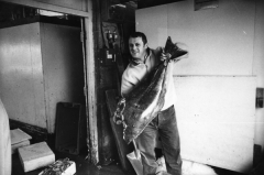 Hartlepool Fish Quay - Big Fish